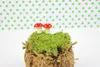 Funghi artificiali su piume Funghi ornamentali Decorazioni Anteprima dell’immagine prodotto 7