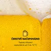 Klarstein Beerkules, systém pro čepování a chlazení piva, Náhled obrázku produktu 4