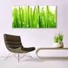 Glasbilder 140x70 Wandbild Druck auf Glas Gras Pflanzen Produktbild-Vorschau 3