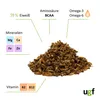 UGF Getrocknete Grillen 400g (3L) Eimer, Insektenfutter, Produktbild-Vorschau 9