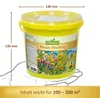 Bienen - Mischung im 1 l Eimer | Bienenwiese von N.L. Produktbild-Vorschau 5