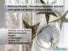 Christmas stars hanging in a window, with a close-up of a window hook. Voir les images du produit