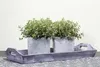 Origanum vulgare, Oregano, aromatisch, ca. 9x9 cm Topf Produktbild-Vorschau 2