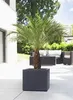 Scheurich 240/30 Vaso da fiori C-Cube Stony Black - 28,5 cm Anteprima dell’immagine prodotto 2