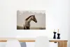 MuchoWow® Poster Pferd - Nebel - Natur 90x60 cm - Produktbild-Vorschau 4