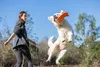 Chuckit! Hundespielzeug Ultra Flying Squirrel, Maße: 24 x Produktbild-Vorschau 6
