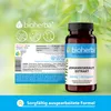 Bioherba Johanniskraut Extrakt 260 mg 100 Kapseln Produktbild-Vorschau 8