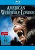 American Werewolf - Fürchte den Mond Produktbild-Vorschau 1