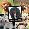 Bugalugs Hundeshampoo One In A Million 500 ml Fellpflege Produktbild-Vorschau 5
