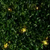 A close-up view of a string of warm white LED lights woven through artificial boxwood leaves. Produktbild-Vorschau