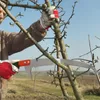 BOOMET Scie de jardin · scie à élaguer en set ou seule · Voir les images du produit 5