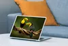 MuchoWow® Laptop Aufkleber Sticker Cover Vögel - Tukan - Produktbild-Vorschau 4