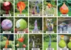 Rosenkugel rot verspiegelt Gartenflair 12cm Produktbild-Vorschau 1