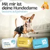 HUND IST KÖNIG Windeln für Hündinnen [3 Stk], S (Taille Produktbild-Vorschau 2