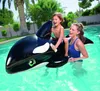 Bestway® Schwimmtier Jumbo Wal XL 203 x 102 cm Produktbild-Vorschau 6