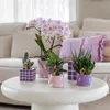 Kolibri Home | Candy Dekotopf - Green - Ø6cm Produktbild-Vorschau 6