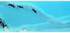 Acquario educativo in gel per formiche Anteprima dell’immagine prodotto 7