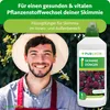Purgrün Skimmie-Dünger 1 Liter, Produktbild-Vorschau 2