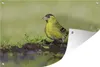 MuchoWow® Produktbild-Vorschau 1