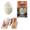 Toi-Toys - MONDO DEI DINOSAURI Set di scavi per dinosauri Anteprima dell’immagine prodotto 10
