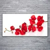 Glasbilder 120x60 Wandbild Druck auf Glas Blumen Pflanzen Produktbild-Vorschau 2