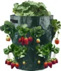 APT AG691A Borsa da giardino per fragole 170 x 330 mm Anteprima dell’immagine prodotto 1