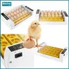 A collage of images showing a chick, eggs, and an incubator. Podgląd zdjęcia produktu