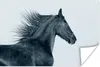 MuchoWow® Poster Pferd - Friese - Wind 180x120 cm - Produktbild-Vorschau 1