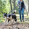 BedDog Hundeleine WILLY verstellbar in 3 Längen Führleine, Produktbild-Vorschau 7
