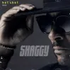 Shaggy: Hot Shot 2020 (PL) Produktbild-Vorschau 1