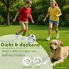 Samenshop24® RSM-Rasensamen 3.2 Sportrasen Regeneration mit Produktbild-Vorschau 3