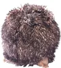 Folkmanis Hedgehog, Handpuppe, Tier, 1 Stück(e) Produktbild-Vorschau 8