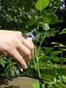Okatsune 104 – Japanische Gartenschere mit ultra-scharfen Produktbild-Vorschau 3