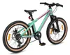 BIKESTAR Kinder Jugend Mountainbike 20 Zoll ab 6 - 7 Jahre Produktbild-Vorschau 5