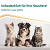 INOX® 5L Anti-Giardien-Wischkonzentrat – Hygienische Produktbild-Vorschau 4