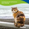 Canina Pharma Lachsöl 500 ml Produktbild-Vorschau 3