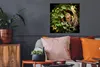 MuchoWow® Poster Ein Waldkauz in einem Baumstamm 50x50 cm - Produktbild-Vorschau 2