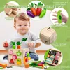 Lernspielzeug, Hexaeder-Schatzkiste für Kinder, Karotte Produktbild-Vorschau 7