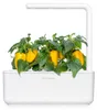 Click & Grow 4742793008950, Eetbare plant, Gele paprika, Productafbeelding-voorbeeld 4