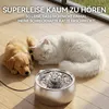 Katzen Trinkbrunnen 4L Edelstahl – Spülmaschinenfest Produktbild-Vorschau 3