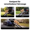 Ramp pour chiens Wiltec, 153 x 40 cm, capacité de 50 kg, Voir les images du produit 8