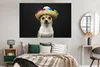 MuchoWow® Poster Hund - Sombrero - Schwarz 180x120 cm - Produktbild-Vorschau 4