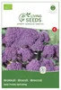 Broccoli Early Purple Sprouting 4.1g Saatgut von Living Produktbild-Vorschau 1
