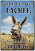 LANOLU Kühlschrankmagnete lustig- Lächle, so lange du Zähne Produktbild-Vorschau 1