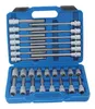 A set of hex keys and sockets in a blue carrying case. Náhľad obrázku produktu