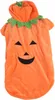 Halloweenowe ubranko dla psa z dynią, uroczy ciepły kostium Podgląd zdjęcia produktu 1