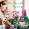 Substral Orchideen Nahrung, 250 ml Produktbild-Vorschau 8