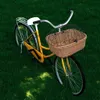 vidaXL Fahrradkorb Vorne mit Deckel 50x45x35 cm Natur Weide Produktbild-Vorschau 2