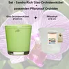 MePla - 2 Stück - Sandra Rich Glas-Orchideenkübel ø 12,5 Produktbild-Vorschau 2