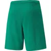 Puma Kalhoty Teamrise, 70494205, Größe: 188 Náhled obrázku produktu 2